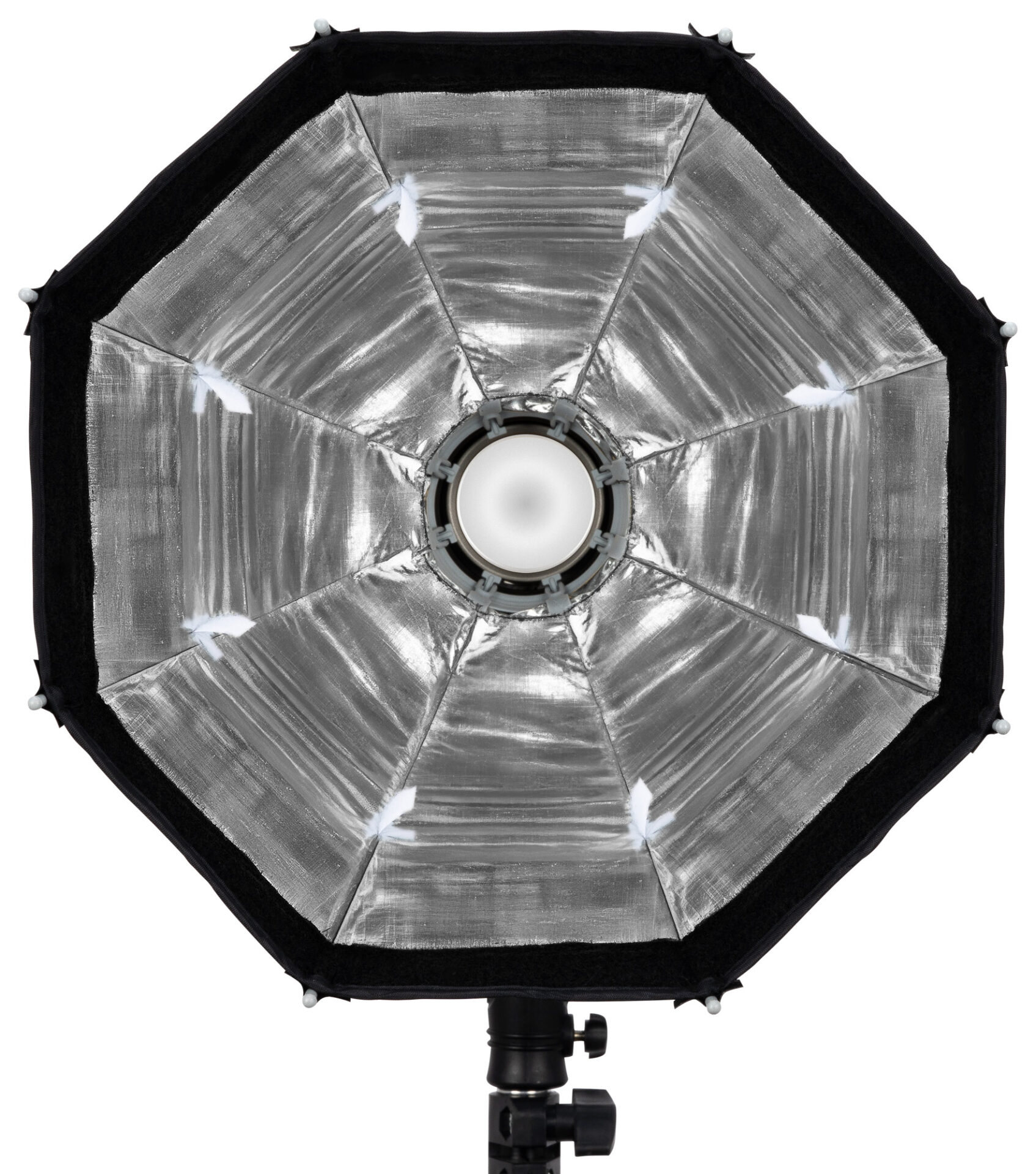 newell-octagonal-softbox-mini-bowens-fm-30-cm-f-r-zora image 3