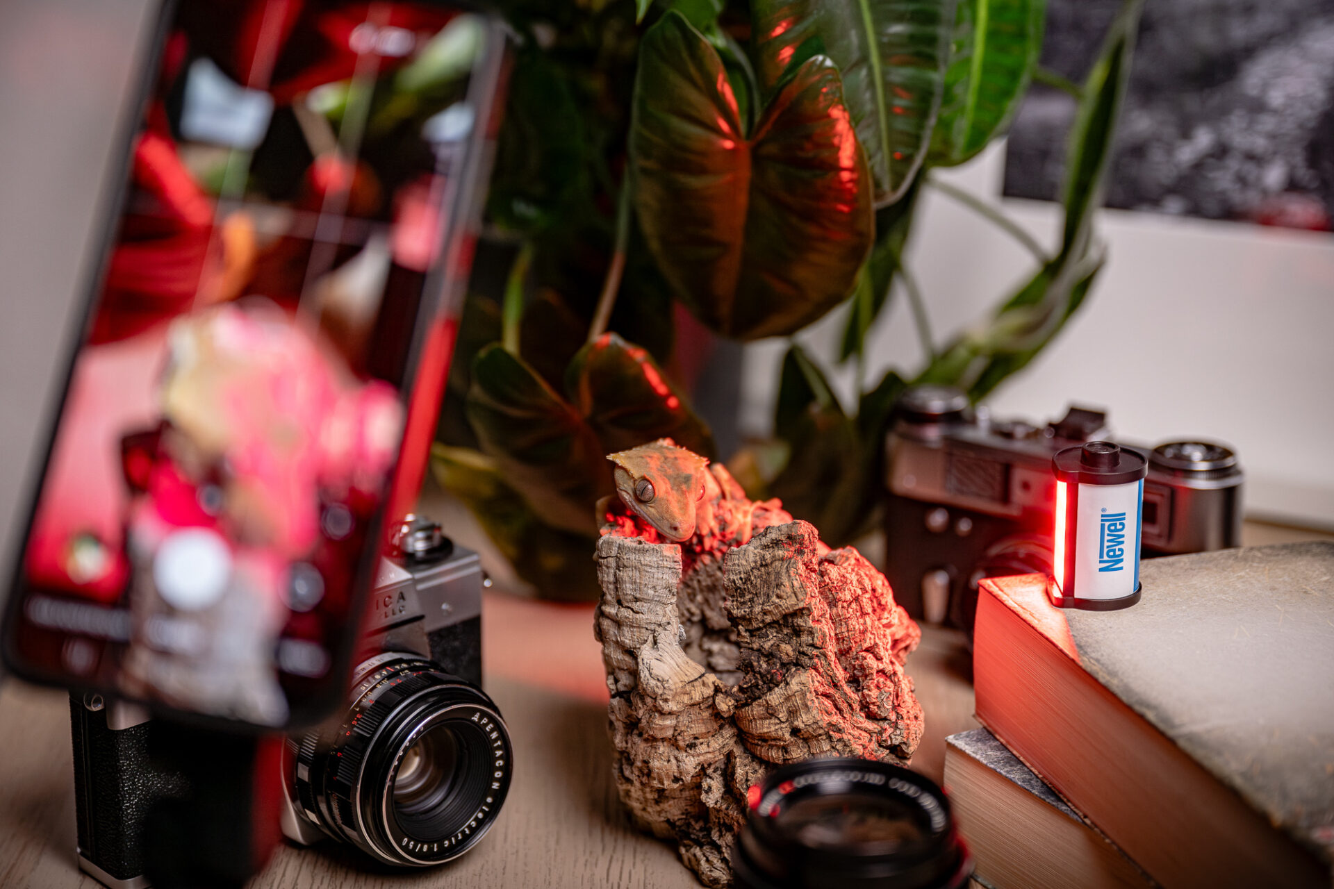 newell-rgb-minireels-led-licht-8-farben-usb-c image 5